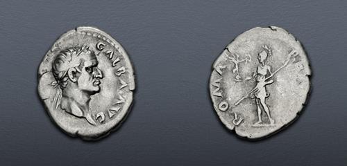 Lot 509 image