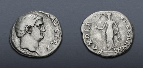 Lot 511 image