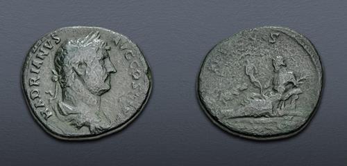 Lot 556 image