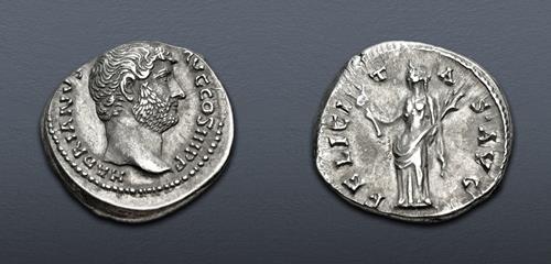 Lot 557 image