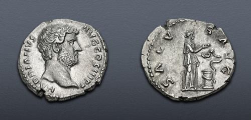 Lot 558 image