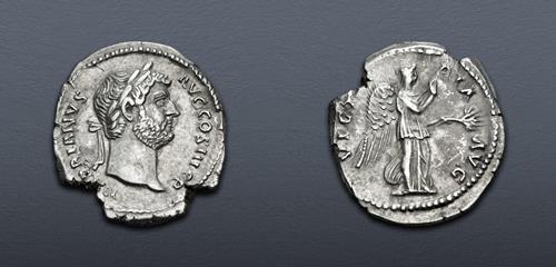 Lot 559 image