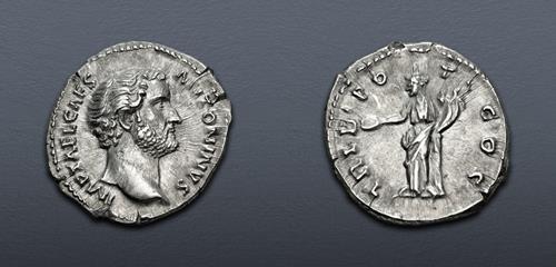 Lot 562 image