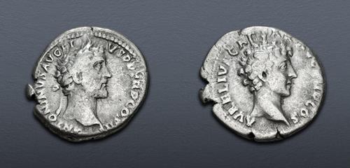 Lot 564 image