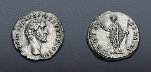 Lot 565 image