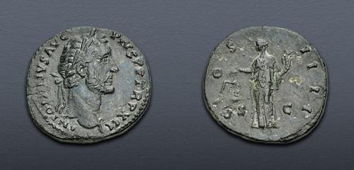 Lot 566 image