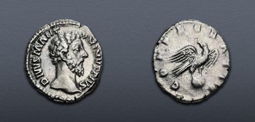 Lot 585 image