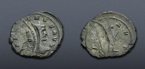Lot 630 image