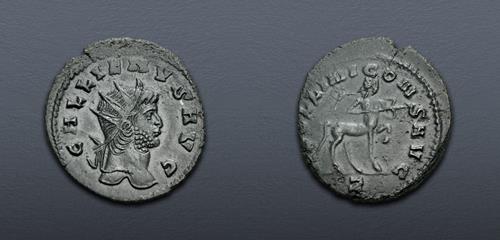 Lot 633 image