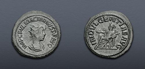 Lot 636 image