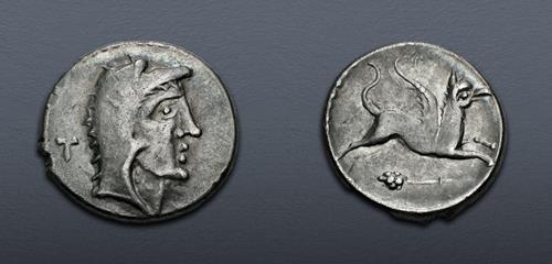 Lot 7 image