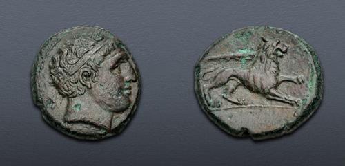 Lot 11 image