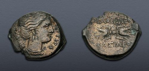 Lot 12 image