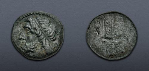 Lot 14 image