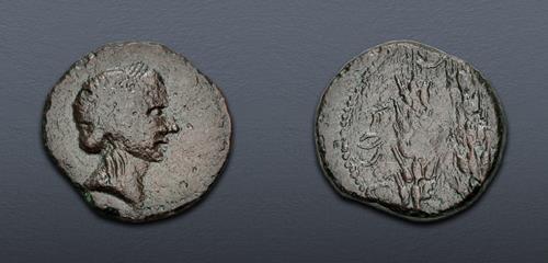 Lot 204 image