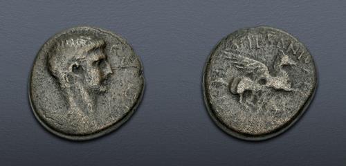 Lot 263 image