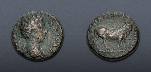 Lot 264 image
