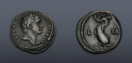 Lot 307 image