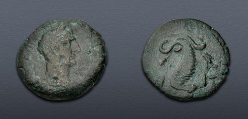 Lot 308 image