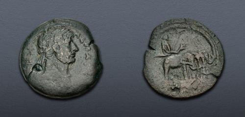Lot 309 image