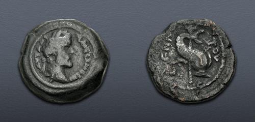 Lot 316 image