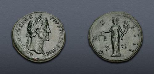 Lot 443 image