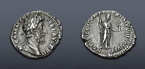 Lot 456 image