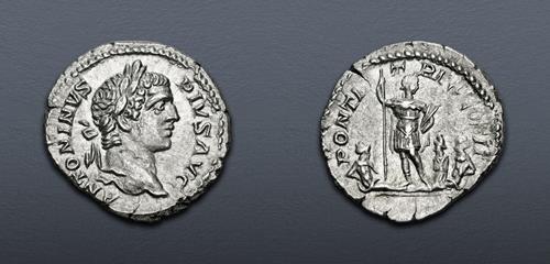 Lot 463 image
