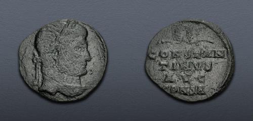 Lot 503 image