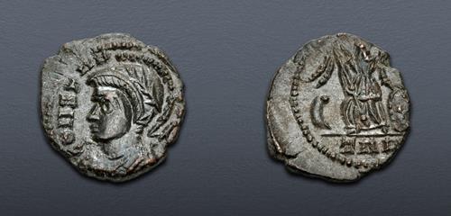 Lot 504 image