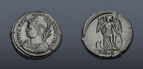 Lot 505 image