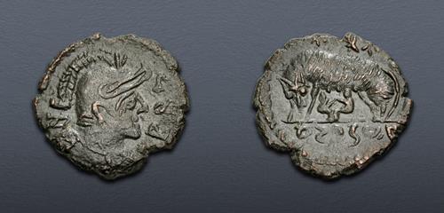 Lot 510 image