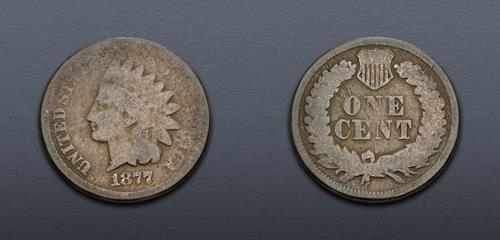 Lot 737 image