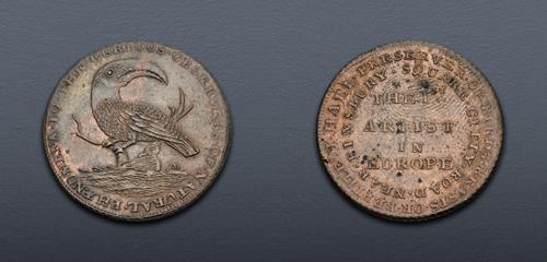 Lot 855 image