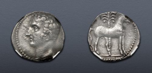 Lot 8 image