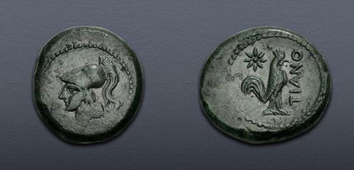 Lot 12 image