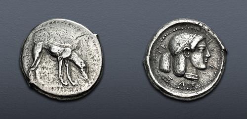 Lot 44 image