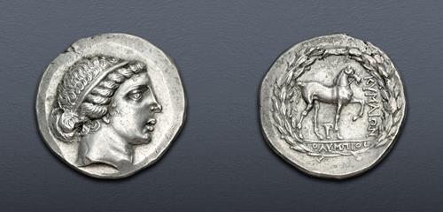 Lot 146 image