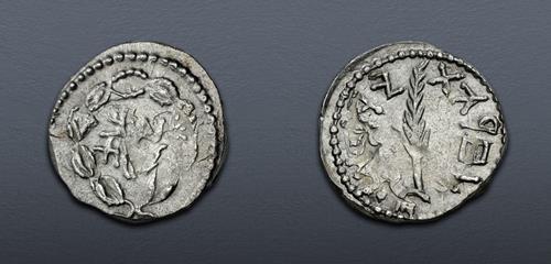 Lot 243 image