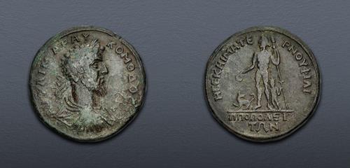 Lot 305 image