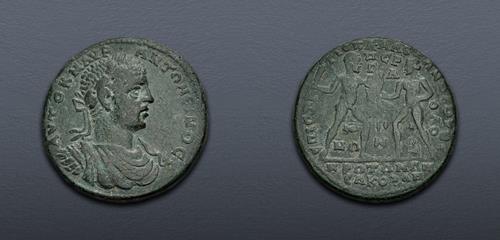 Lot 313 image