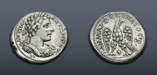 Lot 336 image