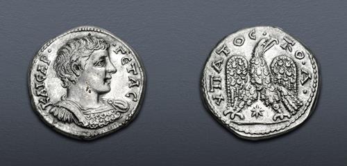 Lot 337 image