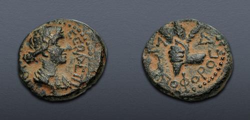 Lot 343 image