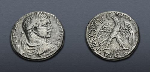 Lot 351 image