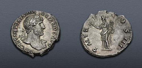 Lot 479 image