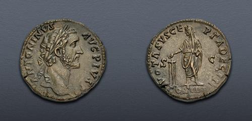 Lot 484 image