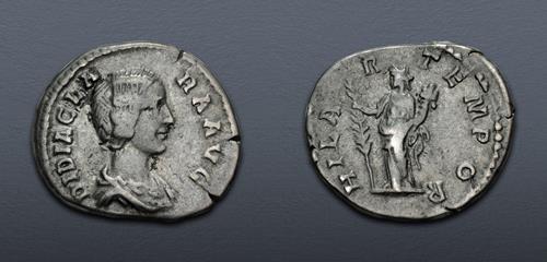 Lot 501 image