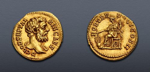 Lot 503 image