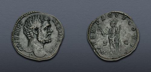 Lot 504 image